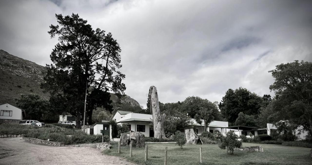 The Volmoed Trust Villa Hermanus Exteriör bild