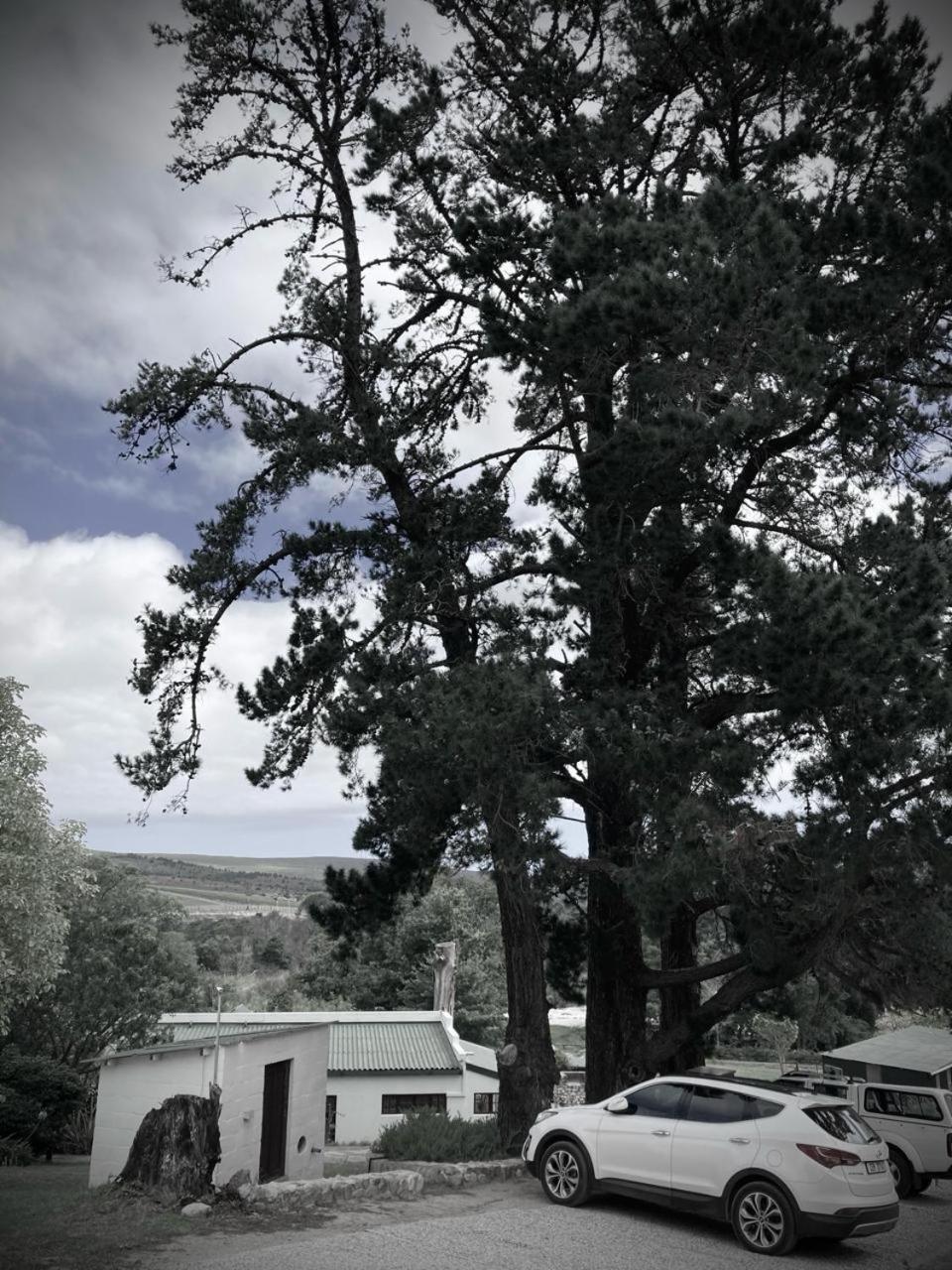 The Volmoed Trust Villa Hermanus Exteriör bild